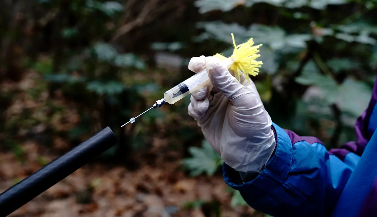 Seorang dokter hewan memasukkan alat suntik vaksin ke pipa penembak di Kebun Binatang Shanghai di Shanghai, China timur, pada 8 Desember 2020. Kebun Binatang Shanghai memberikan vaksinasi tahunan kepada semua hewan karnivoranya untuk memastikan kesehatan mereka. (Xinhua/Zhang Jiansong)