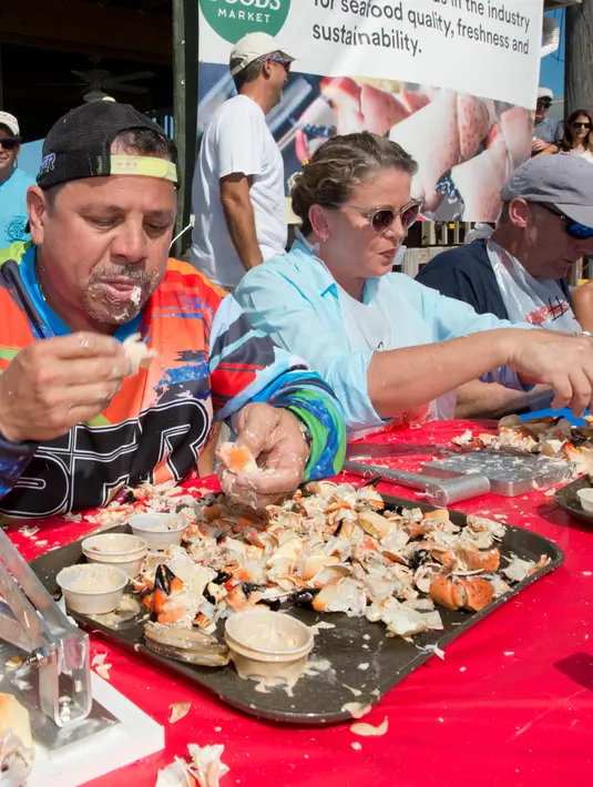 Para peserta beradu cepat memakan daging kepiting batu dalam kontes Key Fisheries Stone Crab Eating di Marathon, Florida, Sabtu (10/11). Mereka harus memecahkan cangkang 25 kepiting batu lalu memakan dagingnya. (Andy Newman/Florida Keys News Bureau/AFP)