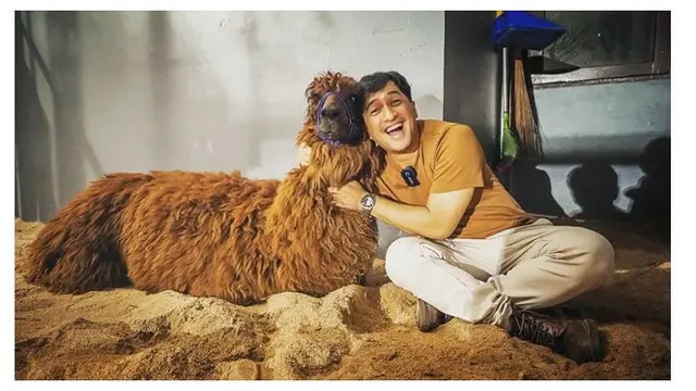 7 Potret Irfan Hakim dengan Alpaca Kesayangannya, Bikin Netizen Gemas