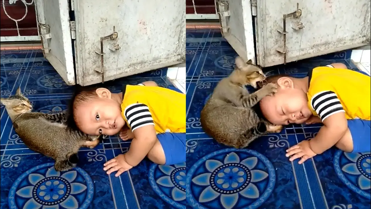 Viral, Video Bocah Menangis Histeris Diserang Kucing Saat Bermain