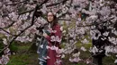 Seorang wanita melihat bunga Sakura yang bermekaran di Tokyo, Jepang (19/3). Bunga Sakura mekar pada akhir Maret hingga akhir Juni. Mekarnya bunga nasional Jepang ini menandai dimulainya musim semi. (Liputan6.com/Kazuhiro Nogi)