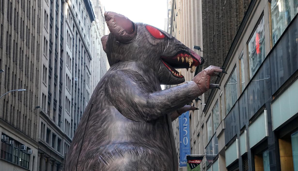 Balon tikus raksasa berjalan di tengah kota untuk diletakkan di luar kantor perusahaan di New York, Kamis (26/12/2019). Balon tikus itu sengaja ditempatkan di luar kantor sebuah pengembang di Manhattan yang dituduh tidak membayar upah pekerja bangunan non-serikat. (TIMOTHY A. CLARY/AFP)