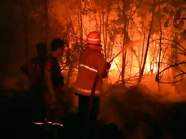 Petugas pemadam kebakaran memadamkan api saat kebakaran hutan dan lahan (karhutla) di Pekanbaru, Riau, Jumat (13/9/2019). Karhutla menyebabkan kabut asap pekat menyelimuti Pekanbaru. (ADEK BERRY/AFP)