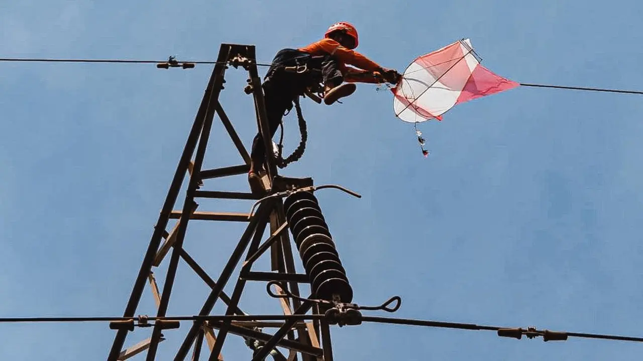Petugas PLN membersihkan layangan yangtersangkut di kabel listrik. (Dian Kurniawan/Liputan6.com)