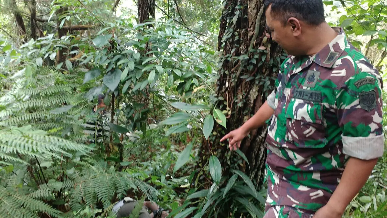 Achmad Sudarno/Liputan6.com