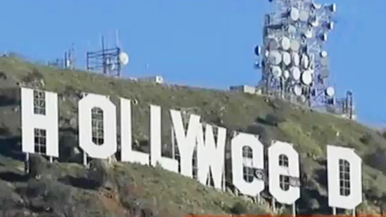 Hollyweed