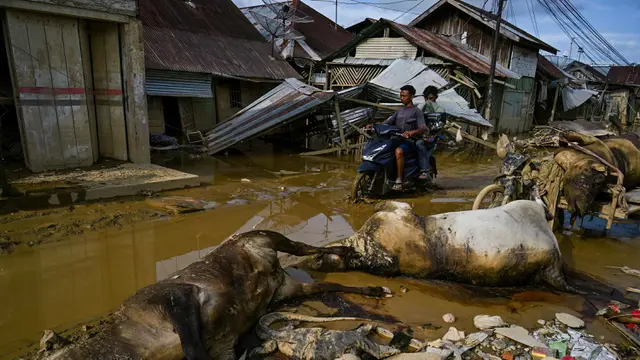 Gelombang Penyakit Hantui Warga Terdampak Banjir Bandang dan Tanah Longsor Sumatera