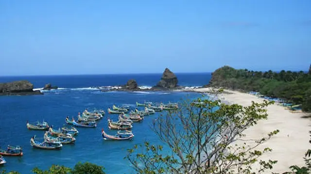 Pantai Tanjung Papuna Jember (Istimewa)