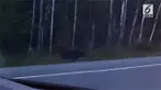 Kejadian menyeramkan terekam kamera seorang pria ketika sedang beristirahat di pinggir jalan. Tiba-tiba saja bayangan putih muncul di hadapannya.