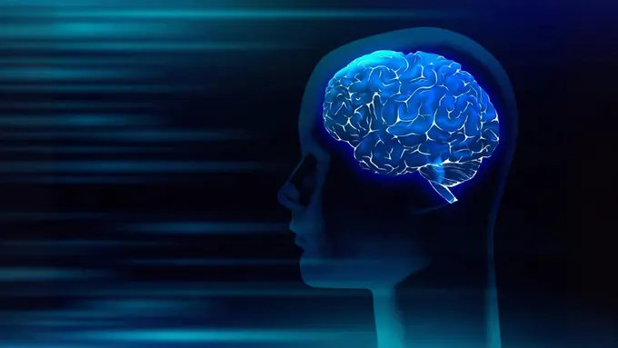 Mengenal Mind Palace, Metode Jenius untuk Mengingat Informasi dengan Efektif (Foto dok : Freepik/rawpixel.com)