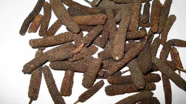 Long Pepper