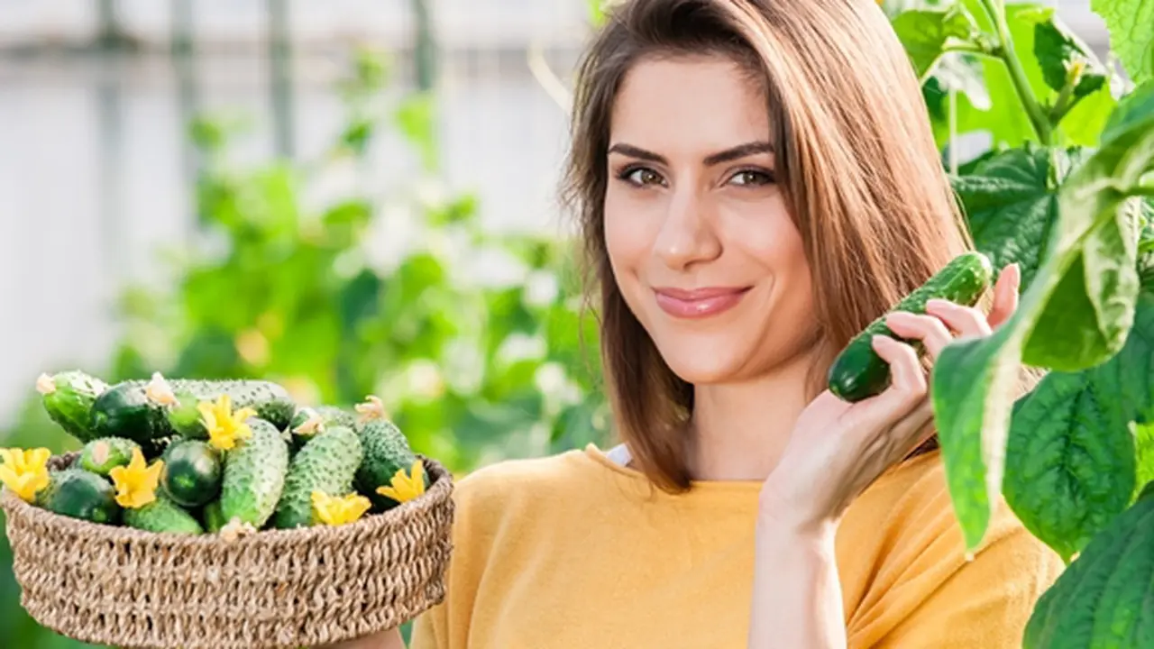 Foto: copyright thinkstockphotos.com