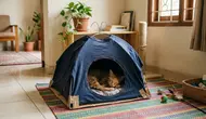8 Ide Tempat Bermain Kucing dari Barang Bekas yang Bikin Anabul Betah, Hemat dan Kreatif