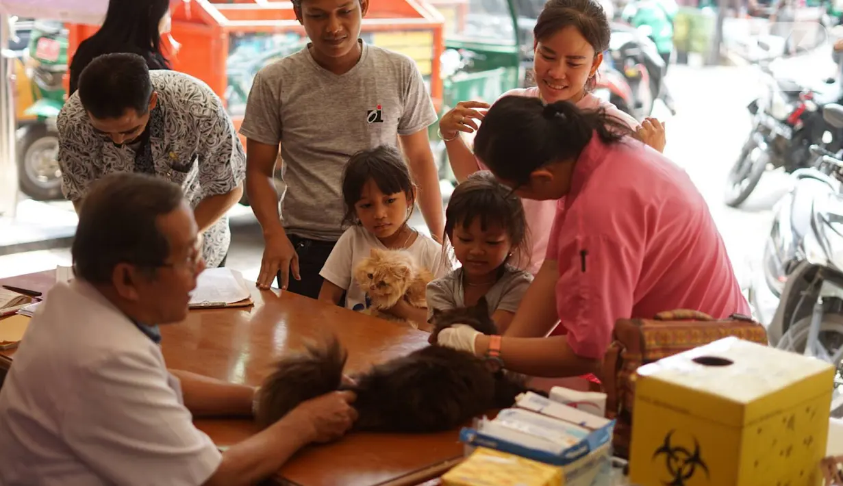 Petugas kesehatan hewan memberikan vaksin rabies pada kucing di kawasan Sawah Besar, Jakarta, Kamis (3/9/2019). Dalam rangka memperingati Hari Rabies Sedunia, Sudin Ketahanan Pangan Kelautan dan Perikanan DKI Jakarta melakukan vaksinasi hewan secara gratis. (Liputan6.com/Immanuel Antonius)