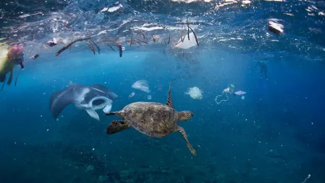 Tak hanya di Indonesia, penumpukan sampah plastik juga terjadi di beberapa negara di dunia.
