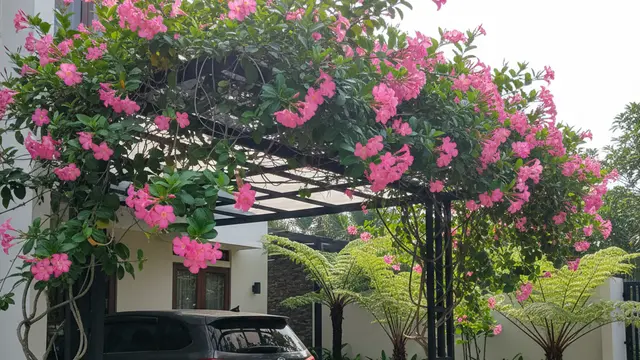 Ide Tanaman Rambat untuk Carport. AI