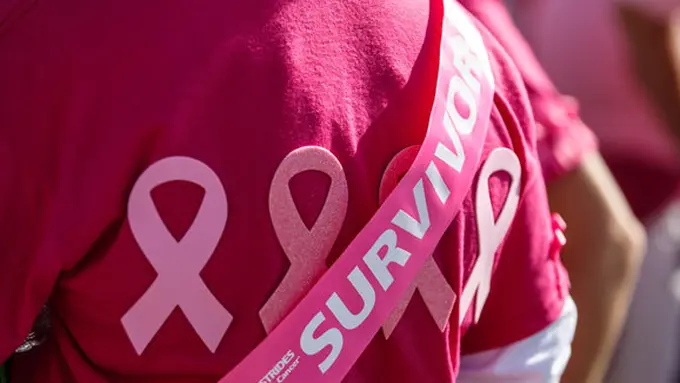 (c) Christopher Parypa / Shutterstock.com