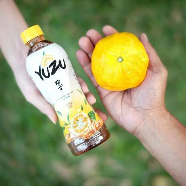 Kenalan Sama Uniknya Buah Yuzu, Superfruit Yang Memiliki Vitamin C 3x Lebih Banyak Dari Buah Lemon Lainnya