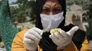 Perempuan Palestina dengan masker dan sarung tangan menyiapkan biskuit tradisional menjelang Idul Fitri di sebuah rumah di kota tua Hebron, Tepi Barat yang diduduki, Selasa (19/5/2020). Biskuit-biskuit itu akan dijual secara online guna menjaga jarak selama pandemi Covid-19. (HAZEM BADER/AFP)