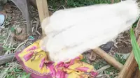 Seorang Kakek Ditemukan Tewas dalam Gubuk di Perkebunan Minahasa