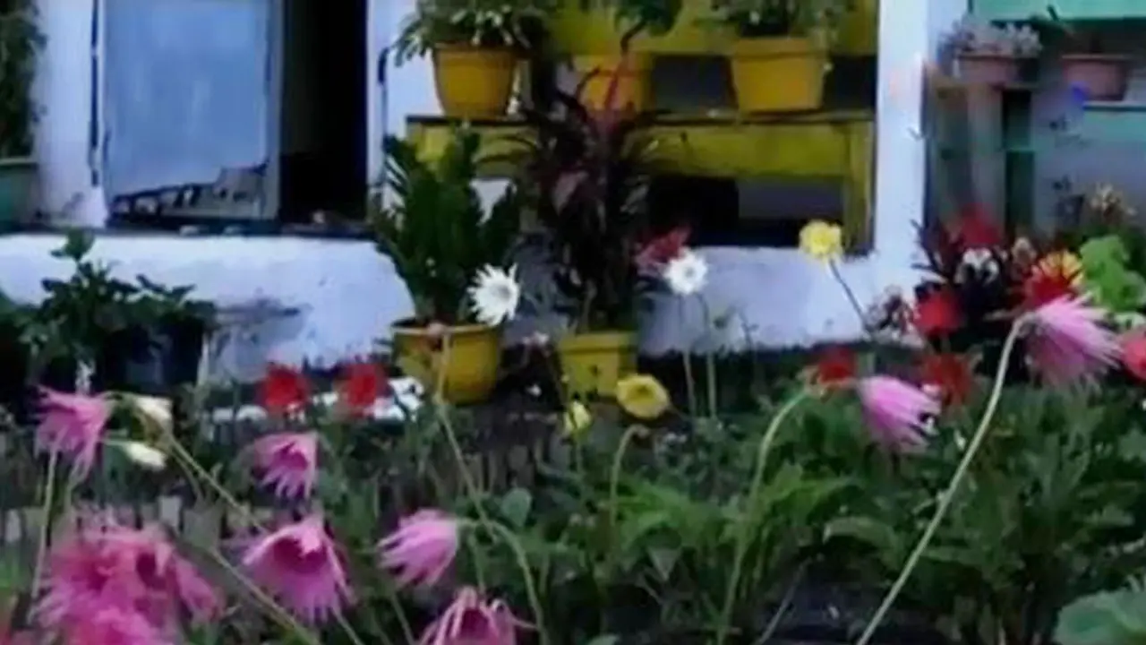 Taman Bunga