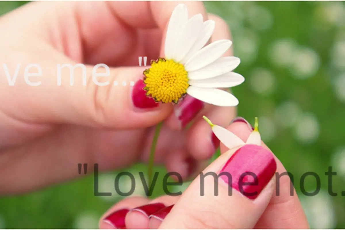 Courtesy ShutterStock.com