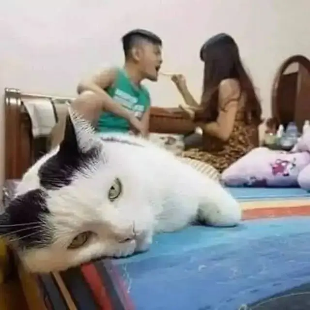 10 Potret Absurd Orang Gagal Romantis Bareng Pacar Ini Kocak
