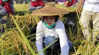 Bupati Purwakarta Apresiasi Program Terobosan Kementan di Hari Tani Nasional 2020