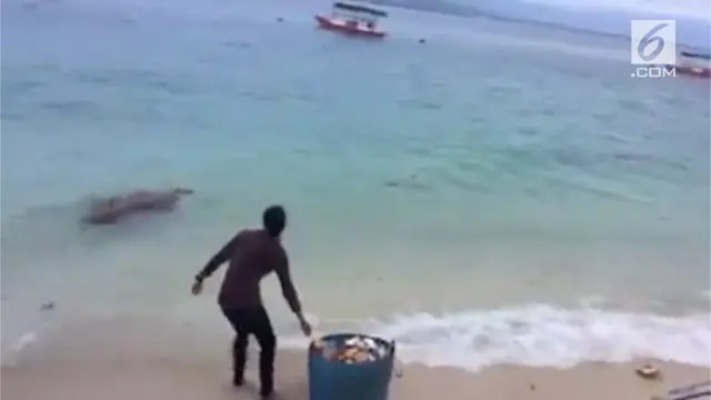 Rekaman dua perempuan buang sampah di Pantai Donggala viral di media sosial. Warganet menyayangkan tindakan yang dilakukan keduanya.