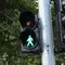 Penganut Teori Konspirasi Sebut Lampu Lalu Lintas Bisa Membunuh Manusia