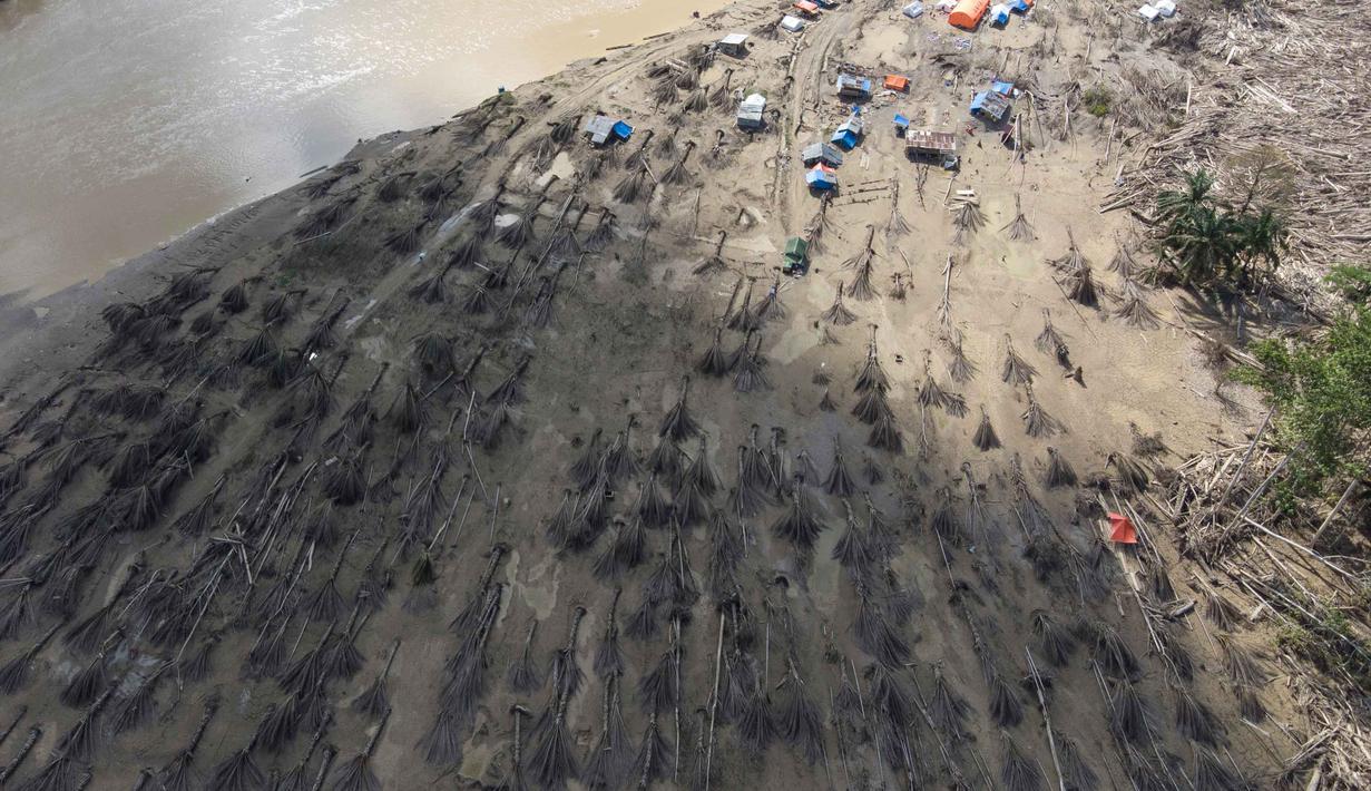 Tidak hanya merusak semua infrastruktur yang ada, banjir bandang juga memaksa sekitar 300 kepala keluarga (KK) di Desa Sekumur dan sekitarnya untuk mengungsi. Tampak foto udara yang diambil menggunakan drone menunjukkan pohon-pohon kelapa sawit yang tumbang akibat banjir bandang di desa Sekumur, Aceh Tamiang, Senin, 29 Desember 2025. (AP Photo/Binsar Bakkara)