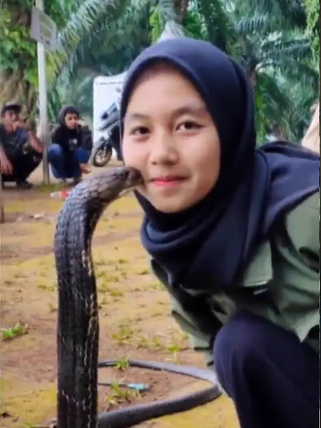 Viral Gadis Asal Bandung Punya Peliharaan King Cobra 4 Meter, Ini 6 Aksinya