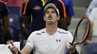 Ekspresi petenis Skotlandia, Andy Murray, saat bertanding melawan Kei Nishikori di babak perempat final AS Terbuka 2016, Rabu (7/9/2016) waktu setempat. (EPA/Justin Lane)