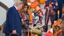 Presiden AS, Donald Trump dan ibu negara Melania Trump membagikan permen kepada anak-anak selama acara trick-or-treat Halloween di South Lawn, Gedung Putih, Senin (28/10/2019). Dalam acara ini anak-anak mengenakan kostum Halloween, sedangkan Donald dan Melania tetap tampil formal. (AP/Alex Brandon)