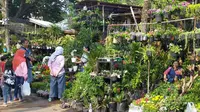 Minta masyarakat terhadap tanaman hias meningkat selama pandemi ini. Pedagang di Pasar Bunga Splendid Malang pun mendapat berkahnya (Liputan6.com/Zainul Arifin)