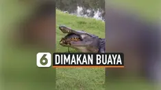 THUMBNAIL buaya