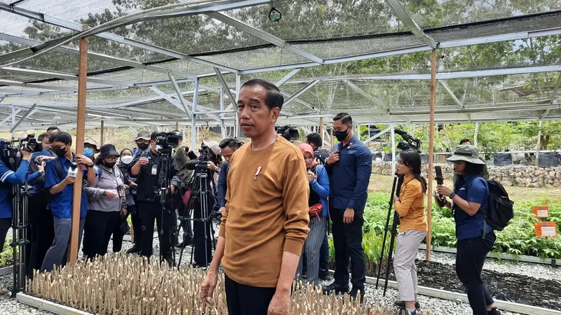 Presiden Jokowi saat meninjau Persemaian Mentawir di Kawasan IKN, Kabupaten Penajam Paser Utara, Kalimantan Timur, Kamis (23/2/2023).