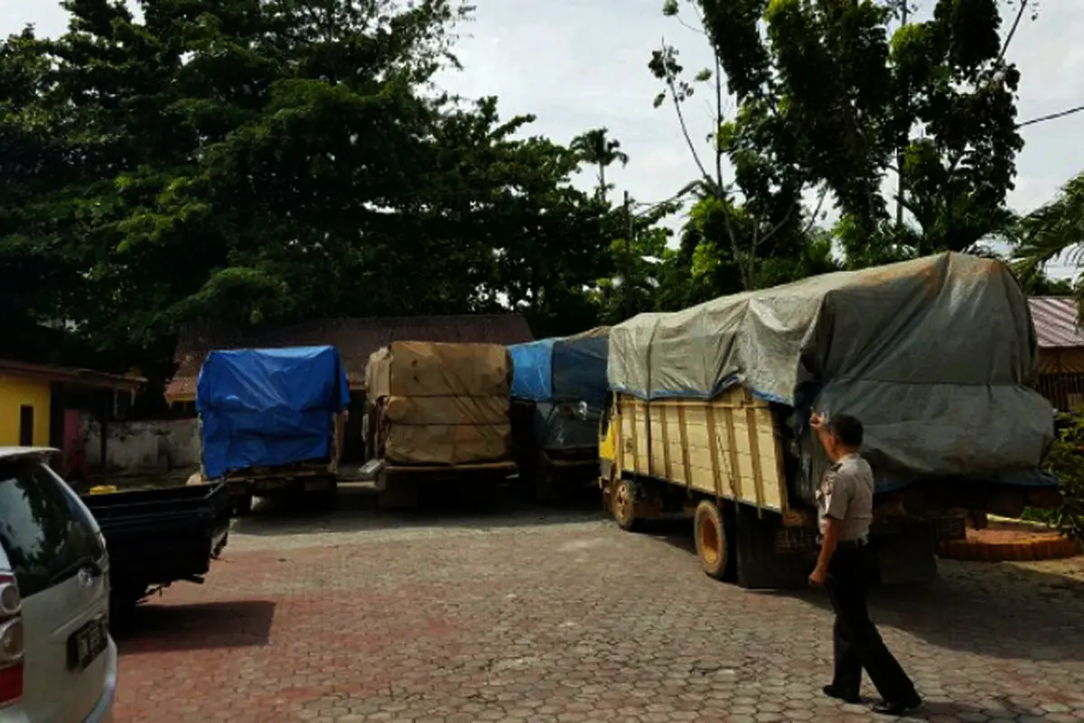 Pembalakan Liar