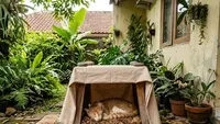 6 Cara Membuat Tempat Berteduh Hewan Peliharaan di Pekarangan Rumah, Nyaman dan Hemat Biaya