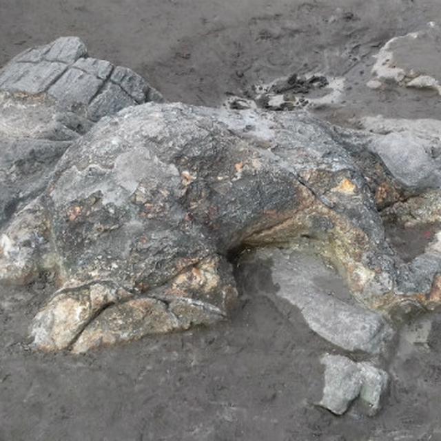 Malin Kundang Buka Rangkaian Teater Musikal Virtual Seri Cerita Rakyat Lifestyle Liputan6 Com