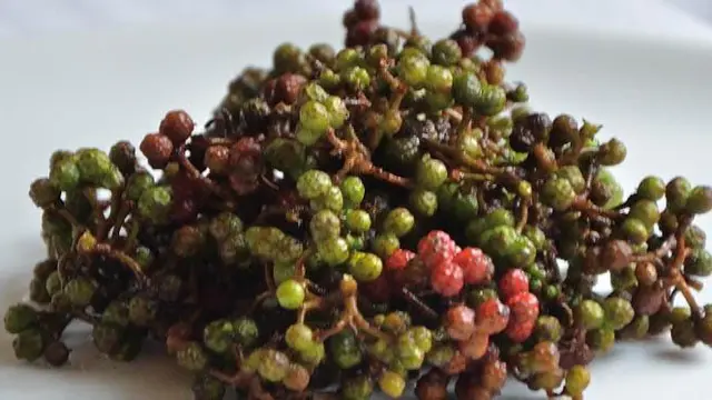 Andaliman, Bumbu Ajaib Kekuatan Kuliner Khas Danau Toba