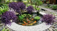 10 Inspirasi Kolam Minimalis dengan Tanaman Pinggir Berwarna Ungu, Elegan dan Menenangkan