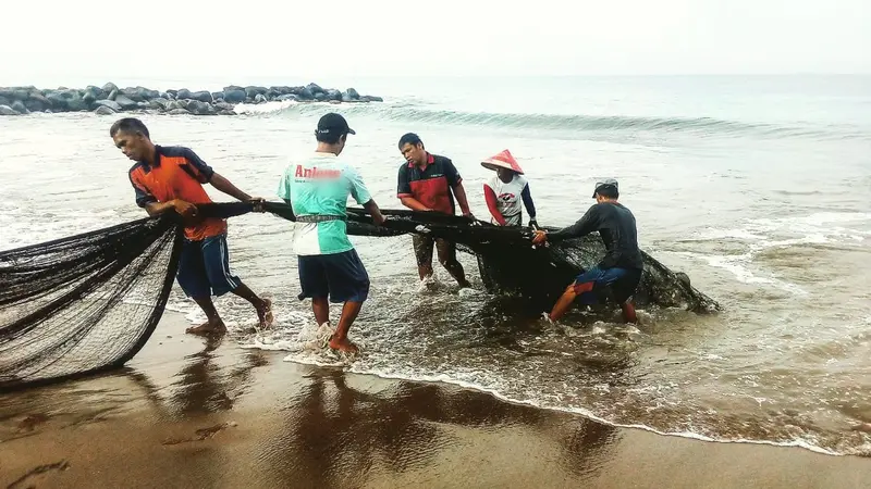 Beberapa orang nelayan maelo pukek yang merupakan tradisi turun temurun dari nenek moyang.