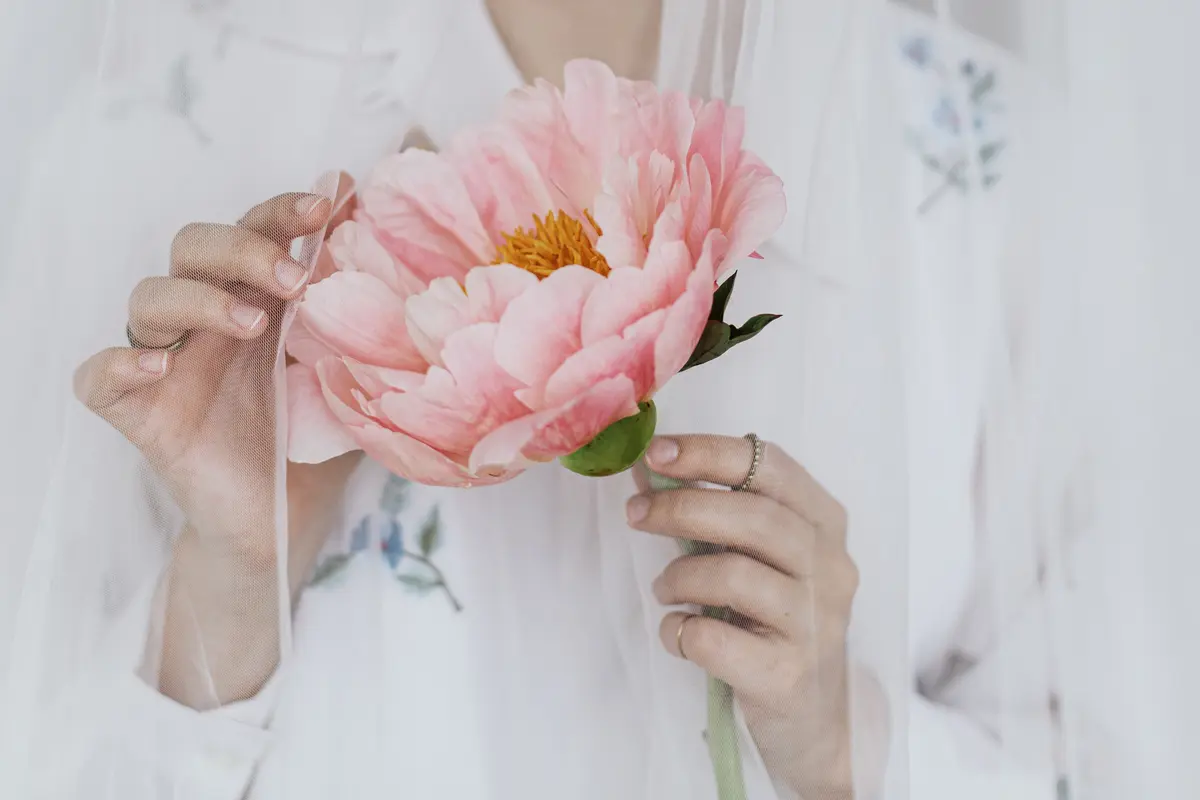 bridezilla dan dispensasi  menikah