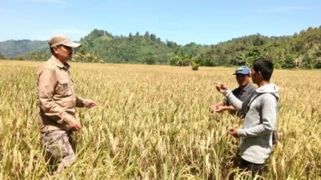 Penyuluh petani