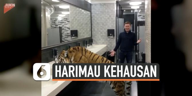 VIDEO: Langka, Harimau Minum di Wastafel Toilet Umum