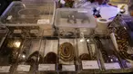 Sejumlah koleksi ular yang dipamerkan dalam Exotique Pet Expo di Senayan Park, Jakarta, Kamis (28/10/2021). Pameran bagi pecinta reptil ini digelar dari tanggal 27 hingga 31 oktober 2021 mendatang. (Liputan6.com/Johan Tallo)