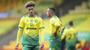 Selepas Premier league dimulai lagi 17 Juni, Norwich selalu kalah. Total 24 kekalahan musim ini adalah rekor mereka sepanjang sejarah klub. (Alex Pantling/Pool via AP)