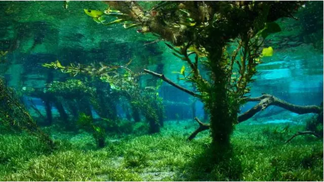 Foto: Natgeo/Michel Roggo