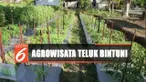 Teluk Bintuni, Papua Barat, berpotensi jadi kampung argobisnis dan argowisata.